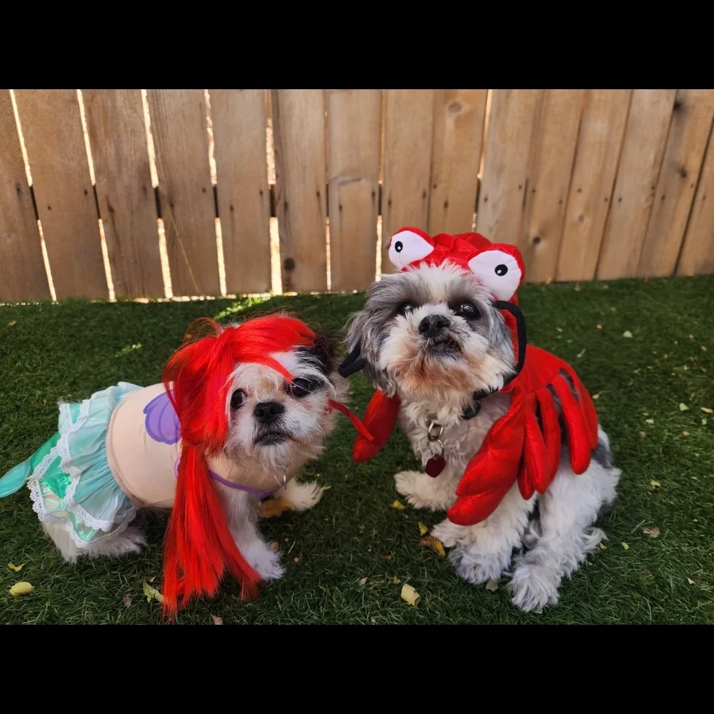 Disney Little Mermaid Dog Costume